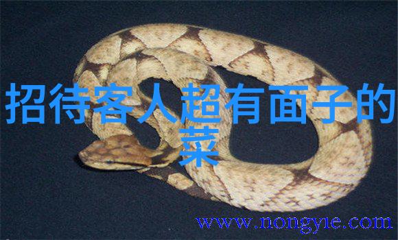 大金湖旅游攻略